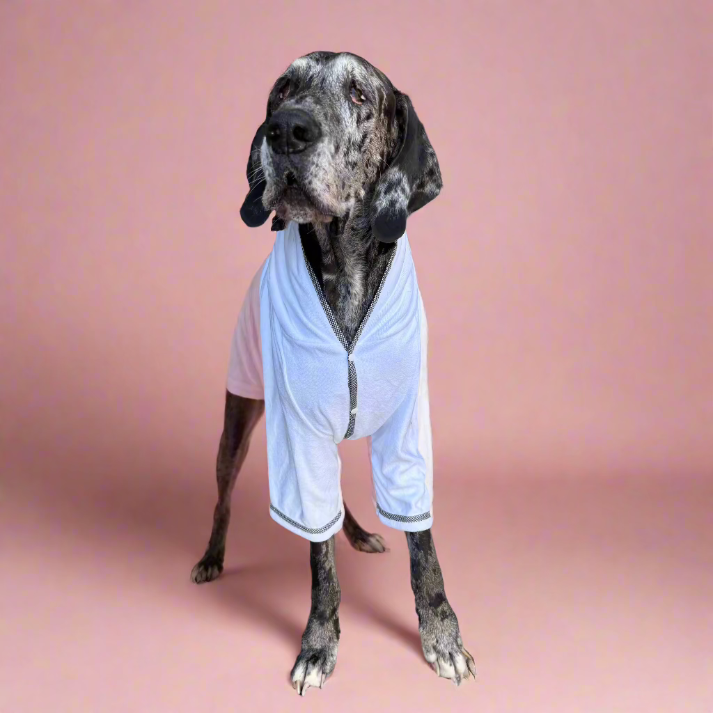 Great Dane in a dog bathrobe with a pink background