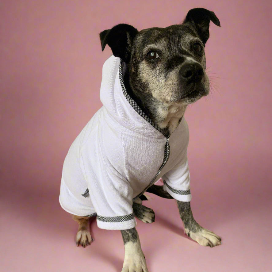 Murray the Staffordshire Bull Terrier: Director of Durability in The Dog Robe white bathrobe