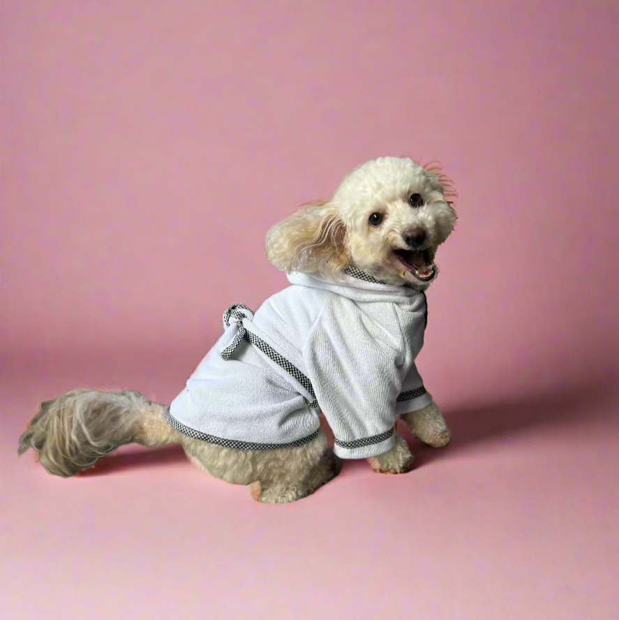 Lola a white toy poodle in The Dog Robe  in white